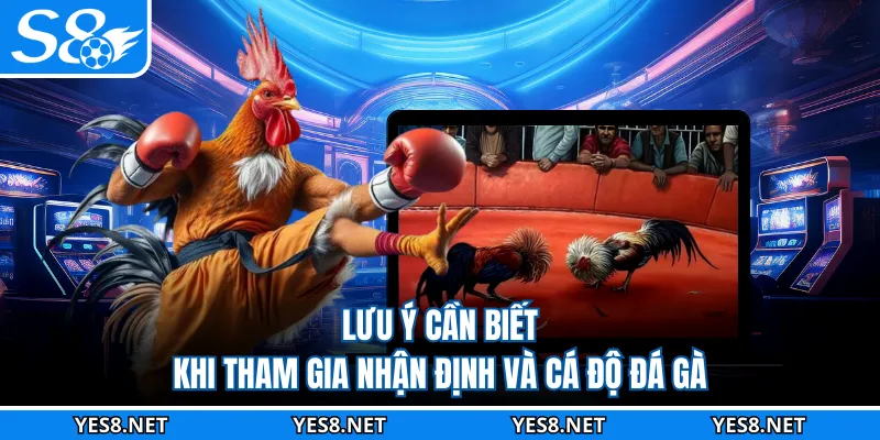 Lưu ý cần biết khi tham gia nhận định và cá độ đá gà