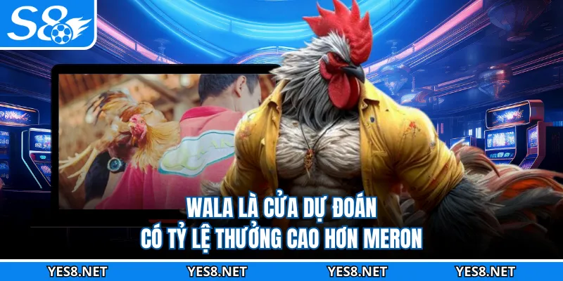 Wala là cửa dự đoán có tỷ lệ thưởng cao hơn Meron